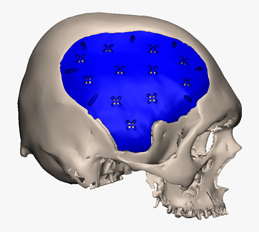 Skull, HD Png Download