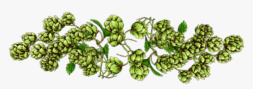 Transparent Clown Shoes Png - Illustration, Png Download