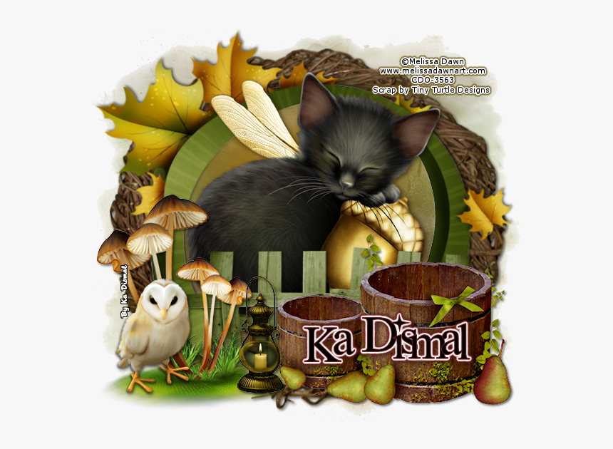 Transparent Fantasy Frame Png - Kitten, Png Download