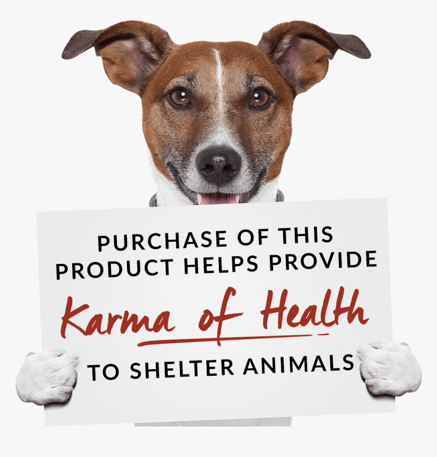 Dog With Letter, HD Png Download