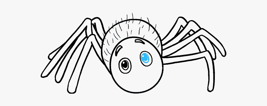How To Draw Cartoon Spider - Cute Drawing Of Spiders, HD Png Download