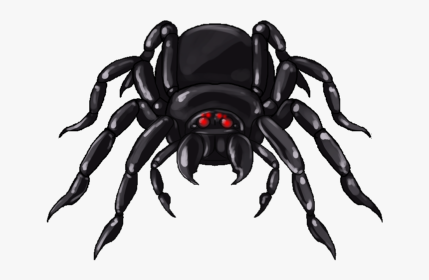 Giant Spider Clipart, HD Png Download