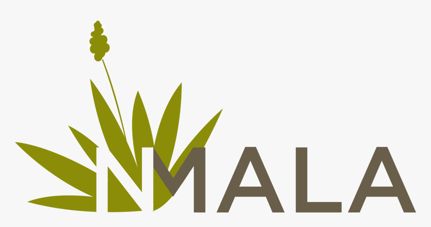 The New Mexico Chapter Of The Association Of Legal - Illustration, HD Png Download