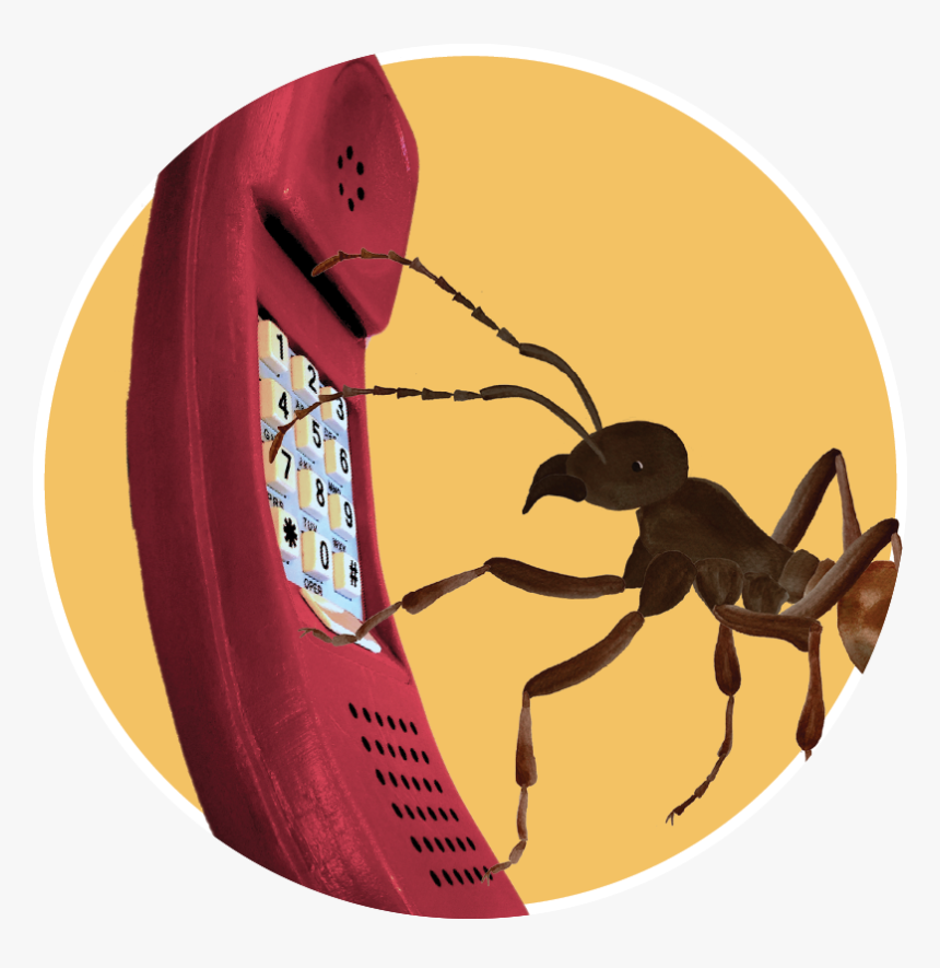 The Colony, HD Png Download