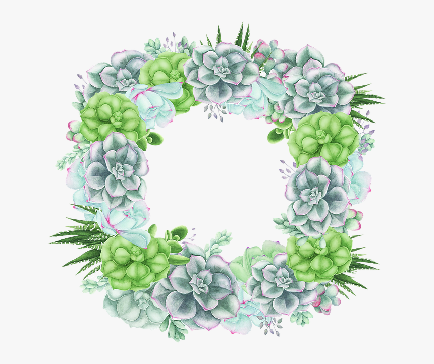 Succulent Rectangular, Cactus, Cacti, Floral, Plant - Hydrangea, HD Png Download