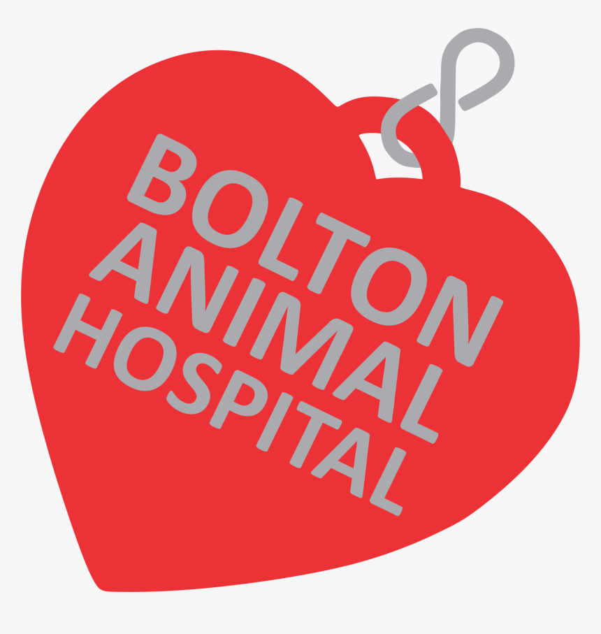 Engenharia Sanitária E Ambiental, HD Png Download