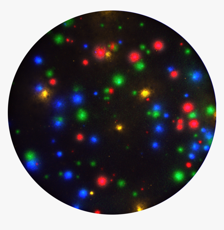 Circle, HD Png Download