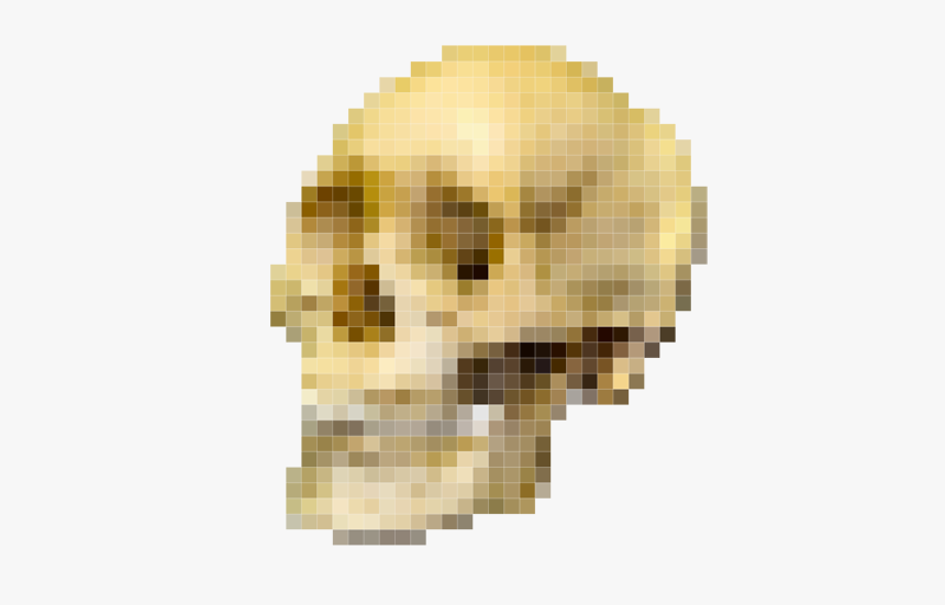 Skull Pixel - Australopithecus And Homo Sapiens, HD Png Download