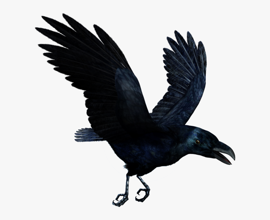 Raven Flying Png Hd - Flying Raven Transparent, Png Download