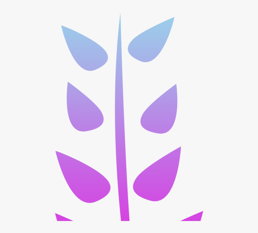 Graphic Design, HD Png Download