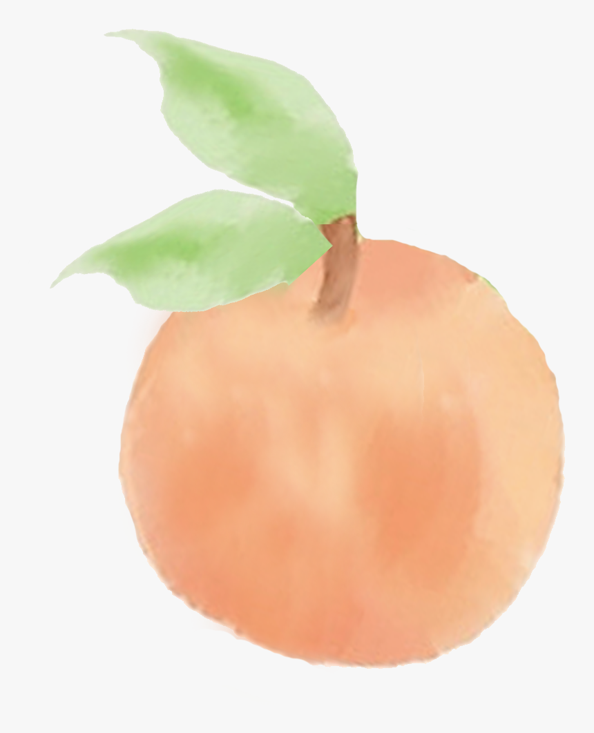 Transparent Peach Png Tumblr - Peach Drawing Png, Png Download