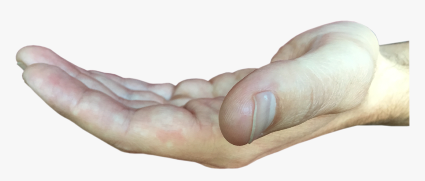 Macro Photography, HD Png Download