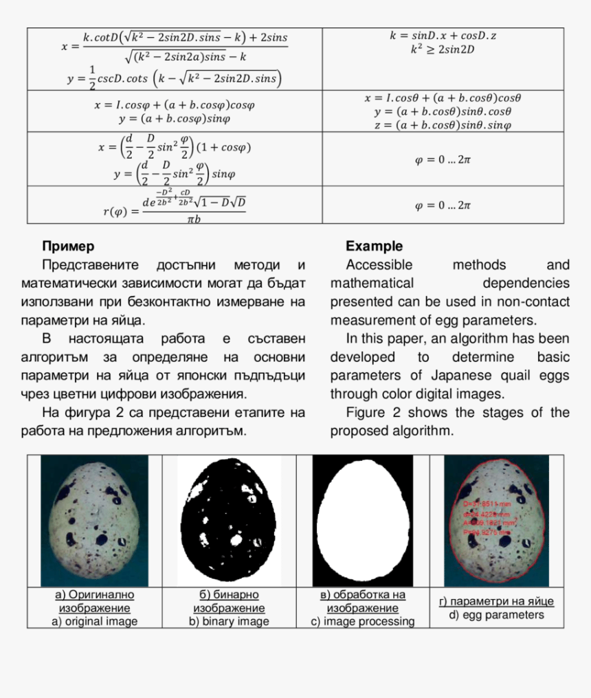 Document, HD Png Download