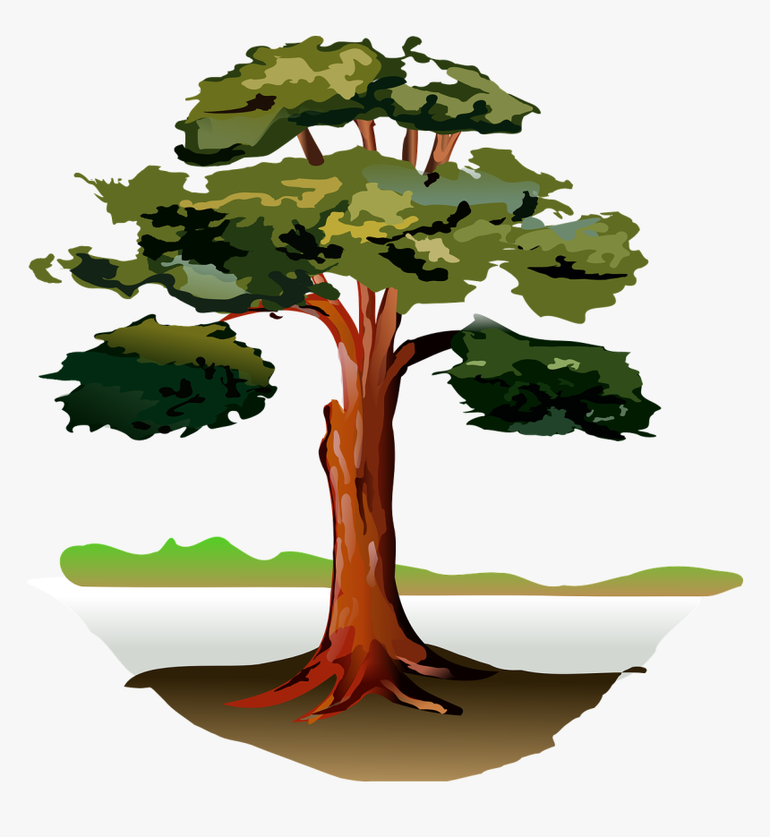 Tree Clip Art At - Pus Ki Raat Premchand, HD Png Download