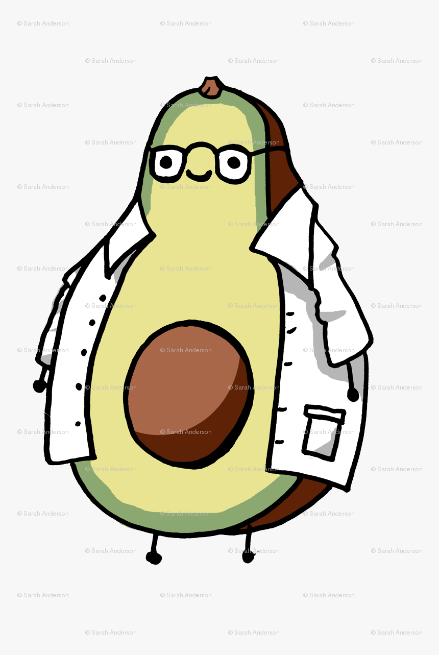 Transparent Avocado Clipart - Constant Clipart, HD Png Download