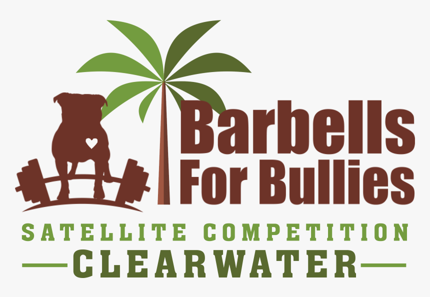 Clearwater - Graduate Athens, HD Png Download