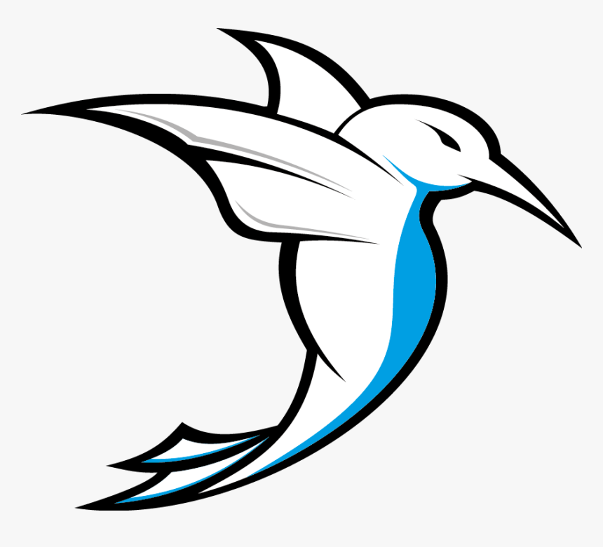 Birdlogo Png, Transparent Png