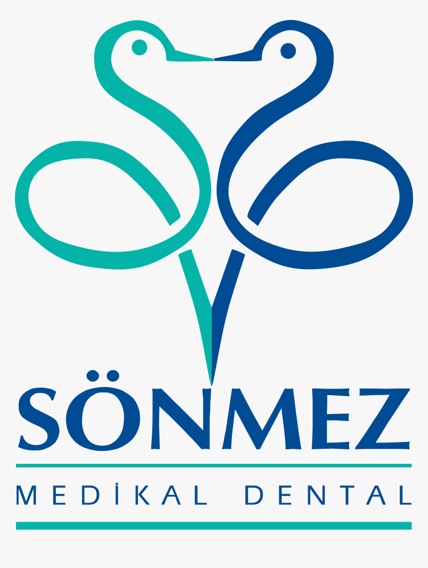 Ducks, Geese And Swans, HD Png Download