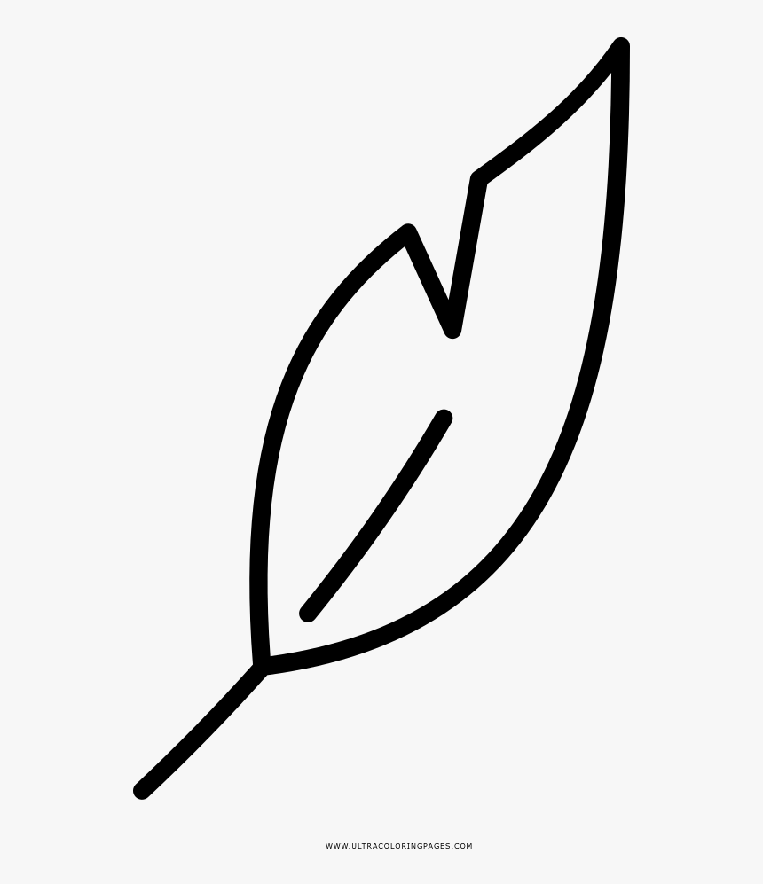 Feather Coloring Page, HD Png Download