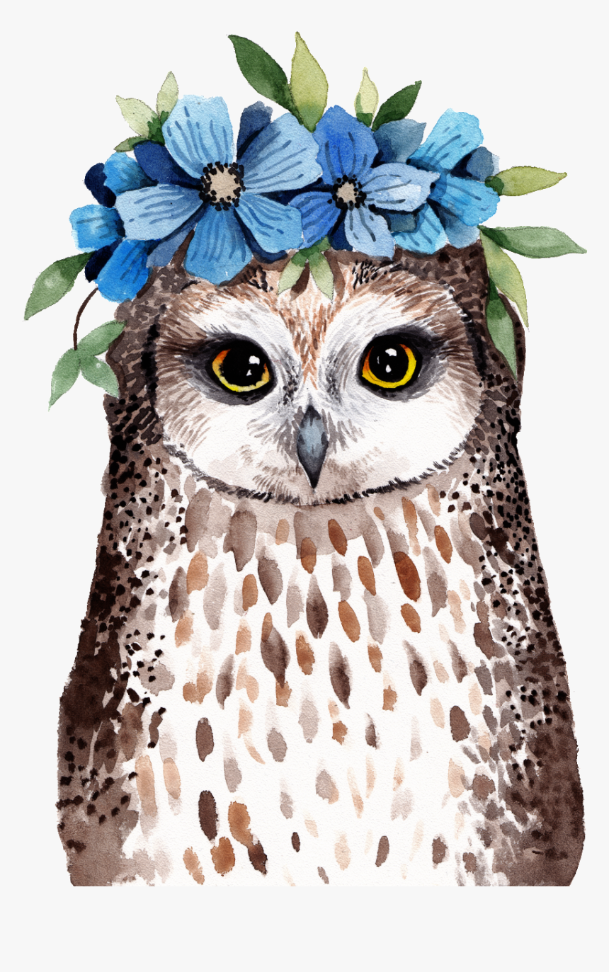 Owl Png Transparent Wearing Flowers - Watercolor Owl Transparent Background, Png Download