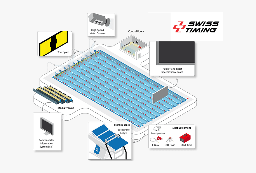 Swiss Timing Photo - Swimming Pool Timing Systems, HD Png Download