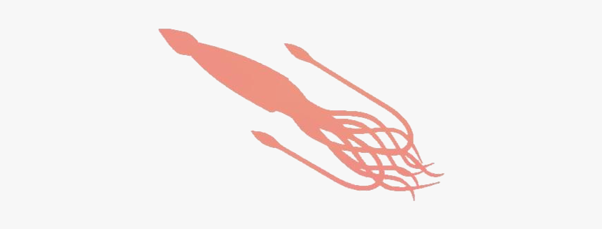 Giant Squid Png Silhouette - Illustration, Transparent Png