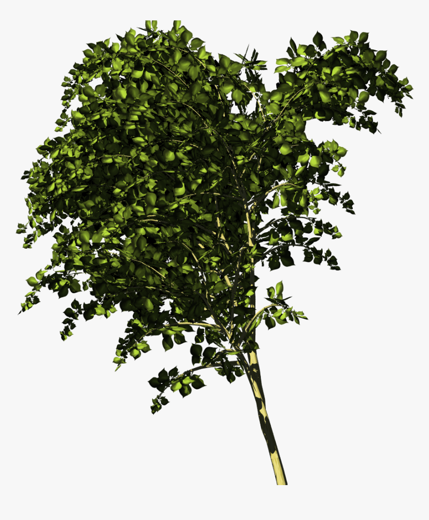 Twig, HD Png Download