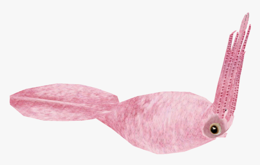 Zt2 Download Library Wikia Starfish, HD Png Download