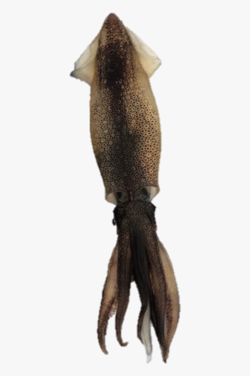 Lunge, HD Png Download