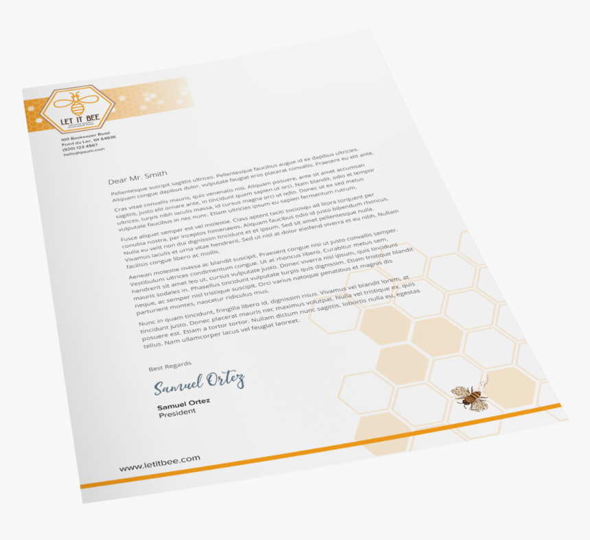 Letterhead - Brochure, HD Png Download