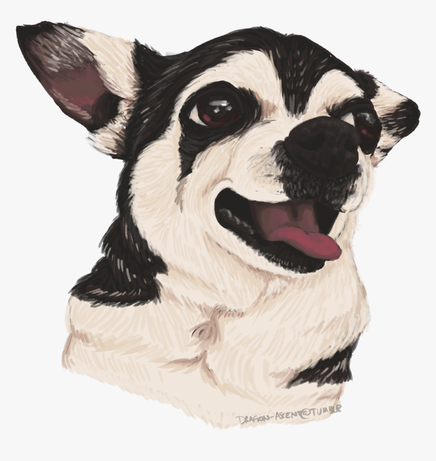 Boston Terrier, HD Png Download