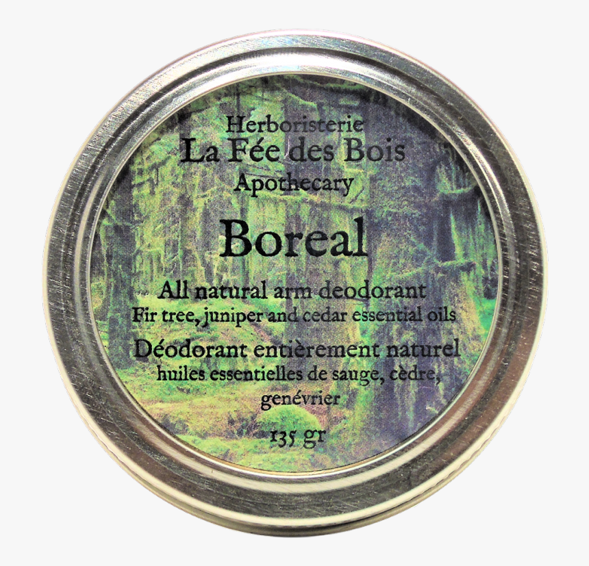 Enchanted Forest , Png Download - Enchanted Forest, Transparent Png