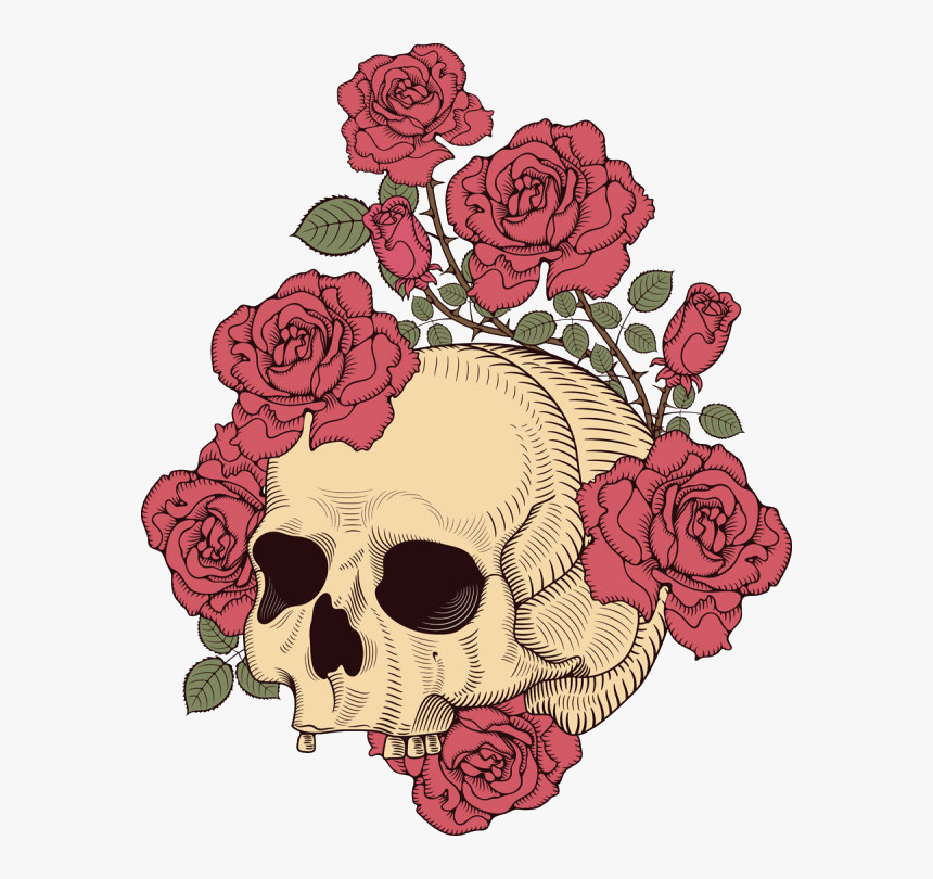 And Skull Rose Illustration T-shirt Design Human Clipart - Skull And Rose Transparent, HD Png Download