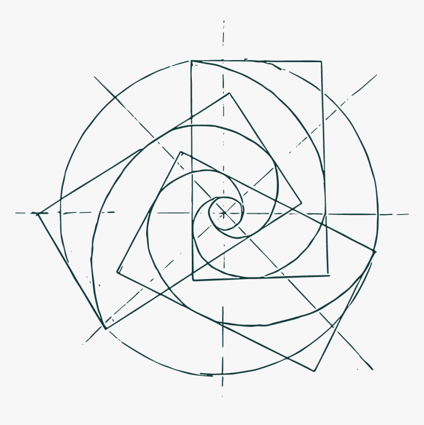 Spiralleadership Mark Weblarge Forest - Drawing, HD Png Download