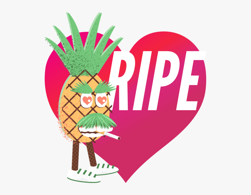 Pineapple - Illustration, HD Png Download