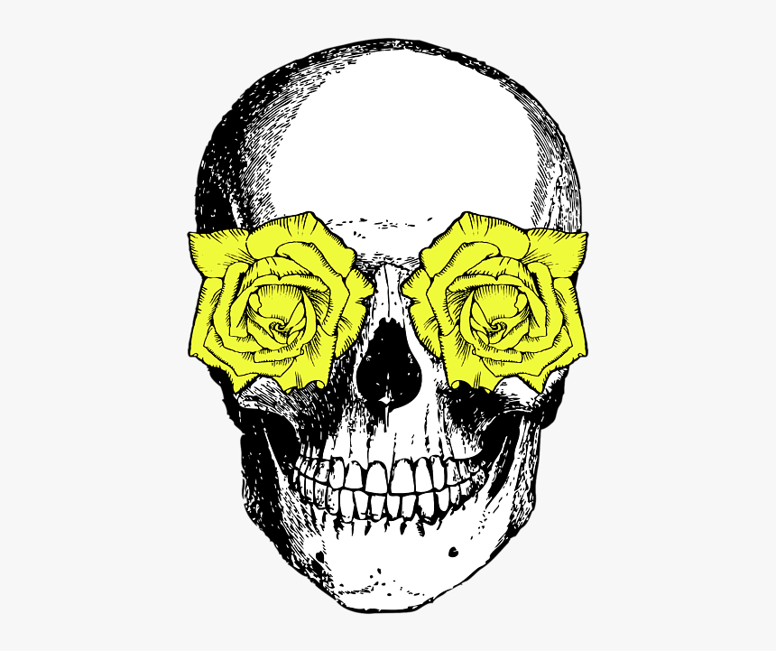 Skulls Black And White, HD Png Download