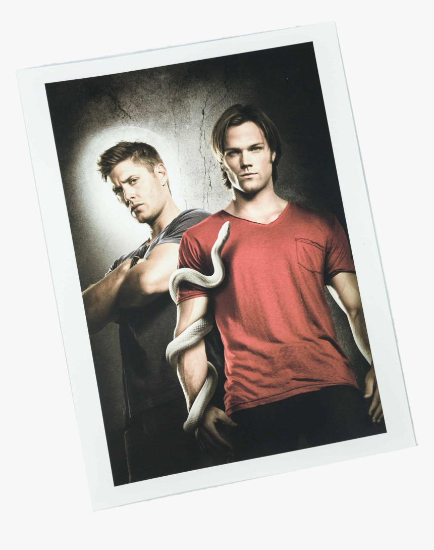 Love, HD Png Download