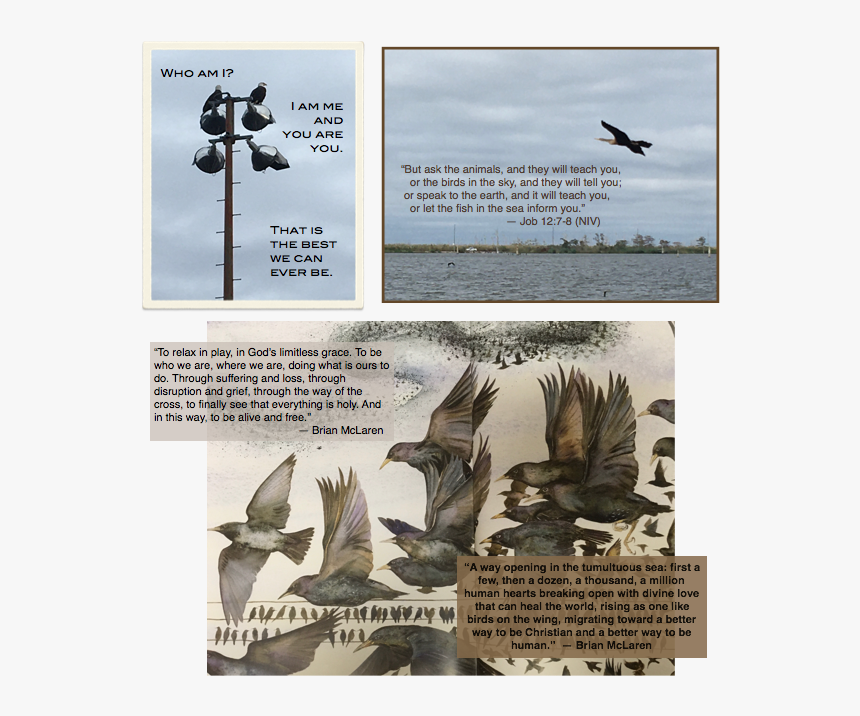 Poster, HD Png Download