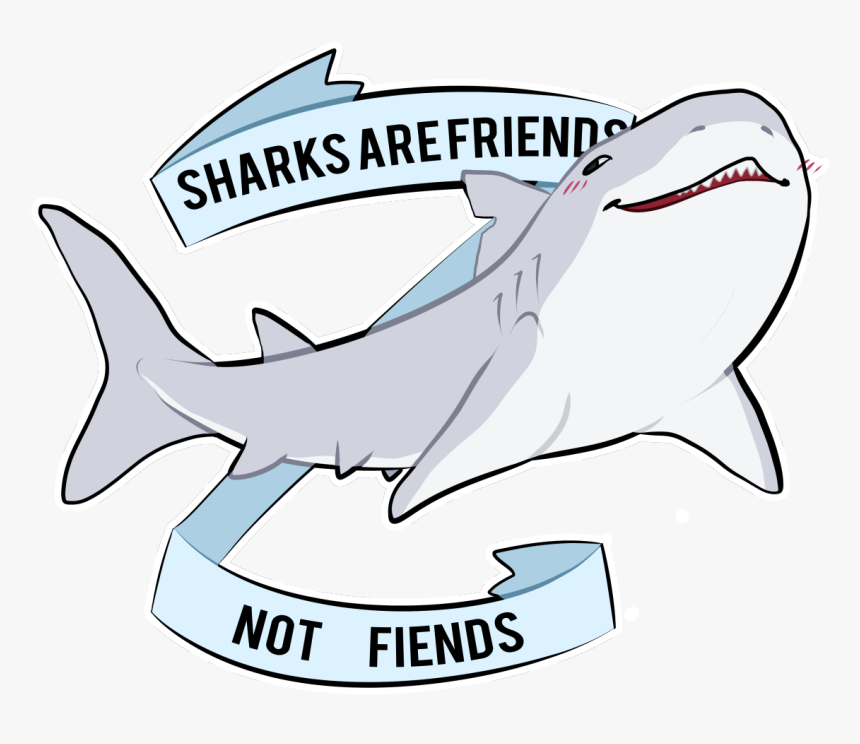 Sharks Are Friends Not Fiends, HD Png Download