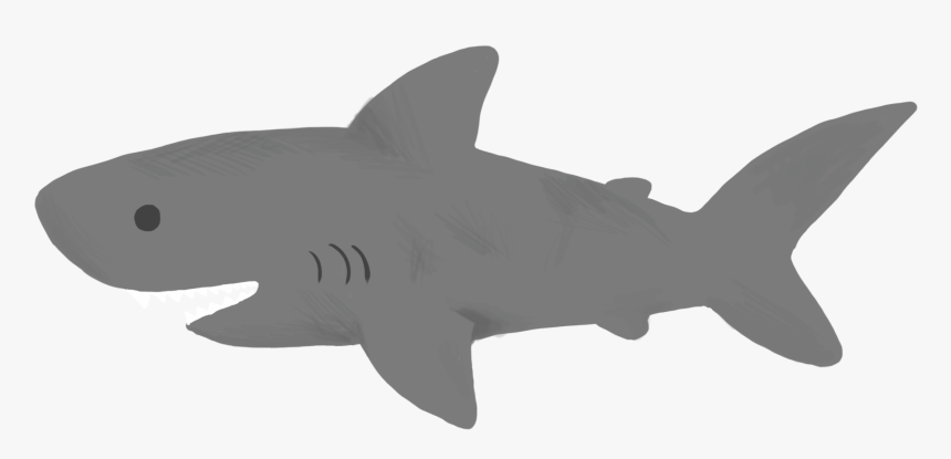 Graphic By Jackie Lou - Great White Shark, HD Png Download