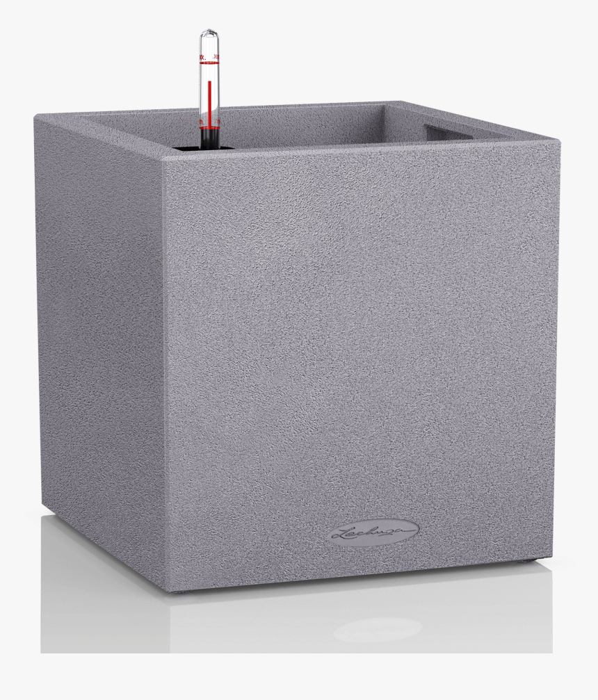 Lechuza Canto Stone 14 Серый Камень, HD Png Download