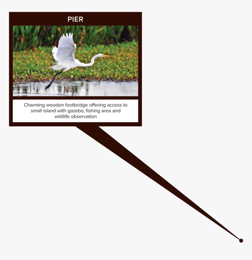 White Egret, HD Png Download