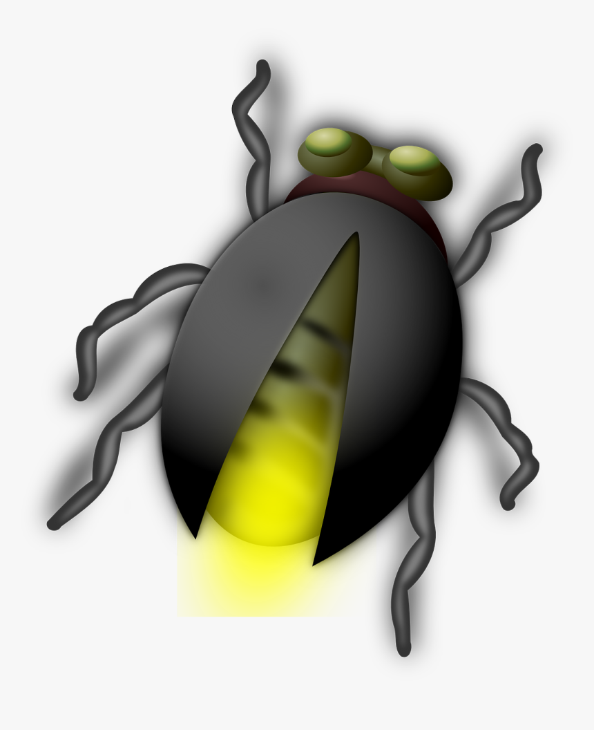 Bug Clip Art, HD Png Download