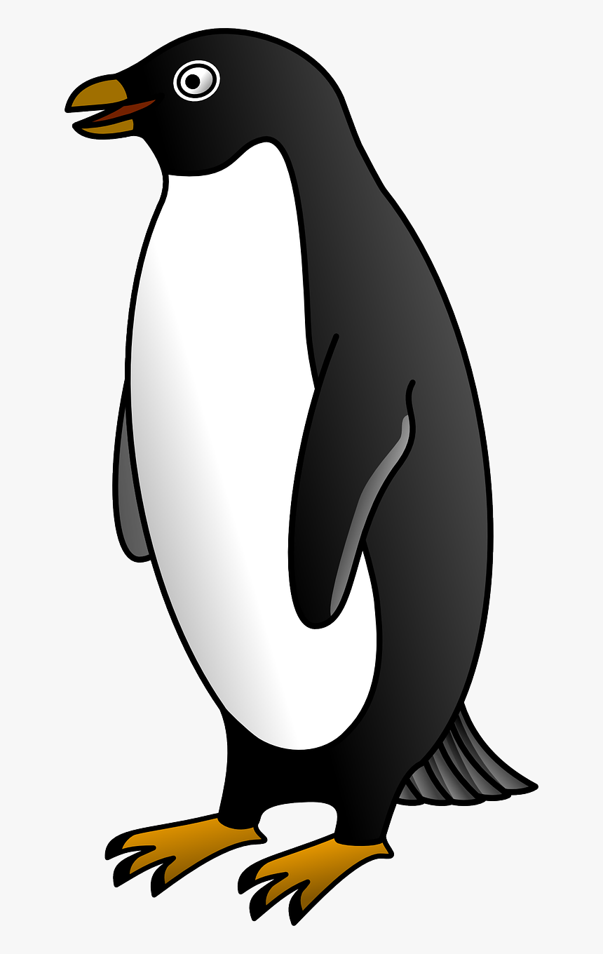 Penguin Clipart Black And White Hd Png Download Transparent Png