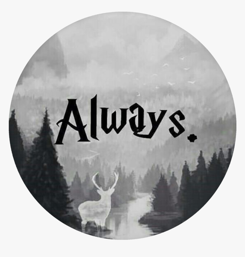 Harry Potter Always Popsocket, HD Png Download