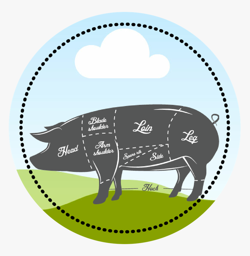 Pig Circle - Illustration, HD Png Download
