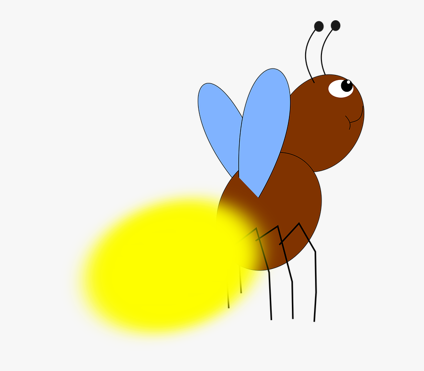 Firefly, Beetle, Forest, Insect, Foliage, Green, Nature - Firefly, HD Png Download