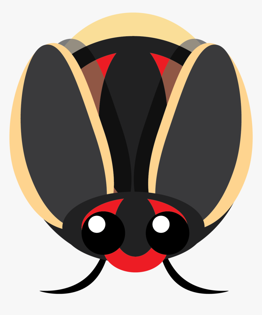 Some Color Adjustment And - Insect, HD Png Download