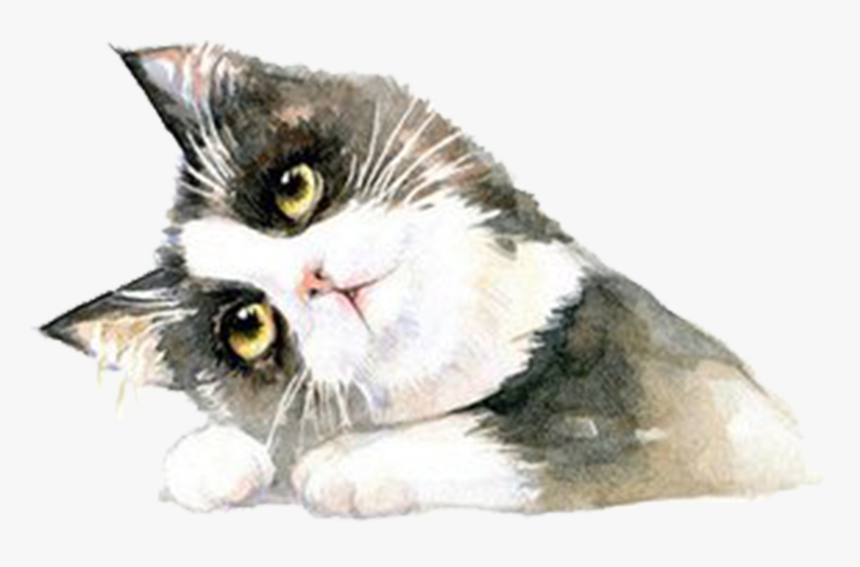 Clip Art Free Stock British Shorthair Ragdoll Hand - British Shorthair, HD Png Download