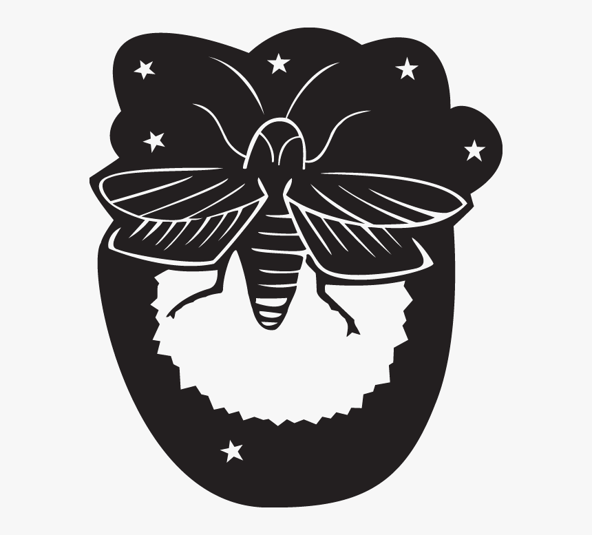 - Firefly Clip Art - Firefly Clip Art, HD Png Download